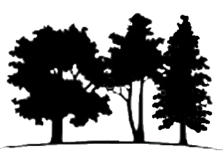 Peschges Tree Service 3 Trees